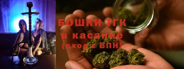 ALPHA-PVP Гусев