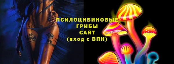 mdpv Гусь-Хрустальный