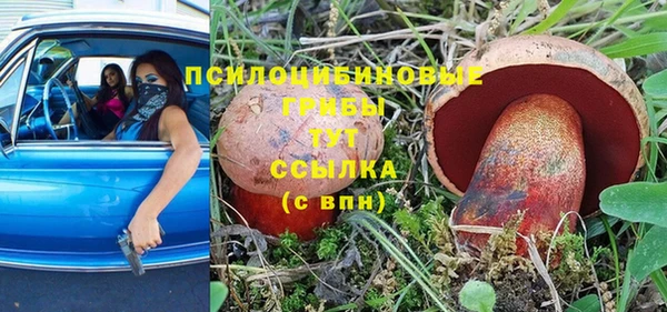 ALPHA-PVP Гусев