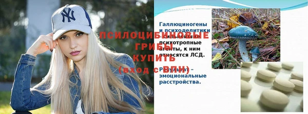ALPHA-PVP Гусев