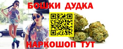 индика Ирбит