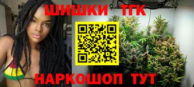 индика Ирбит