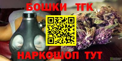 индика Ирбит