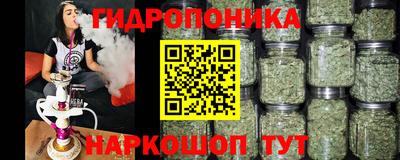 индика Ирбит