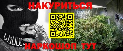 индика Ирбит